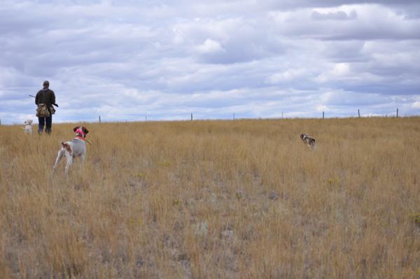 Montana Tune Up 2015